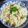 くまみほ99's cooksnap of when they made あさりの炊き込みごはん.