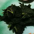 クッククッキリ's cooksnap of when they made 山菜・あいこ（ミヤマイラクサ）のお浸し.