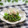 まろんかふぇ's cooksnap of when they made あと一品に♪ピーマンのオイマヨ炒め♪.