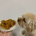 パウンドケーキちゃん's cooksnap of when they made 人参たっぷり！スパイスキャロットケーキ.