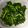 nanaねぇ。's cooksnap of when they made 花わさびの失敗しない処理.