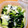 しゅんのま's cooksnap of when they made 長ネギのおつまみナムル.