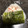 ラクラクダ's cooksnap of when they made 簡単美味しい！鮭マヨおにぎり.