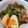 ゆってぃ154's cooksnap of when they made さっぱり煮風☆鶏手羽元とこんにゃく煮.