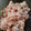 カクヨ's cooksnap of when they made 炊飯器☆簡単！トマトパエリア.