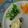 melmarilyn's cooksnap of when they made ケールの天ぷら.