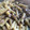 クックVOC2SF☆'s cooksnap of when they made サバ缶とキノコとアボカドの和風パスタ.