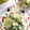 YUKIKI☆'s cooksnap of when they made 釜揚げしらす胡瓜アボカドのマヨサラダ.