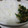 naocolin's cooksnap of when they made セロリの葉と小エビのふりかけ.