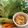 クックXNDD8Q☆'s cooksnap of when they made 水煮パックひよこ豆 フムス 練りごま.