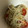 ma___111's cooksnap of when they made プチトマトとえのきの胡麻和え♪.