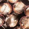 きまぐれあんじゅ's cooksnap of when they made オレオマフィン.