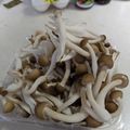 rilmayer's cooksnap of when they made ずぼら！包丁なし！楽チンしめじの下処理♪.