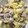 nessa1's cooksnap of when they made 新じゃがと豚肉の柚子胡椒マヨソテー.