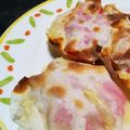 りしぽん's cooksnap of when they made 餃子の皮でおつまみ&おやつUFO.