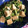 クック8HC8EM☆'s cooksnap of when they made 小松菜と厚揚げの卵とじ.