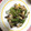 クックRJACLM☆'s cooksnap of when they made ししとうと椎茸の塩昆布炒め.