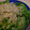 7seven's cooksnap of when they made ✿水菜とシラスのさっぱり和え✿.