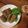 フジノカボ's cooksnap of when they made 簡単なピーマンの肉詰め.