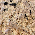 ぴーにゃくん's cooksnap of when they made ［簡単 しっとり 鶏そぼろ］.