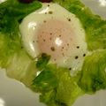 みかん主婦's cooksnap of when they made 簡単♪早い♪レタスもりもり巣篭もり卵.