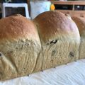 Remtan's cooksnap of when they made ふわっふわの黒糖レーズン食パン♪.