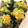 KAORULALA's cooksnap of when they made オクラの梅和え☆磯つつみ.