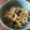 まほぷりん's cooksnap of when they made もやしと三つ葉の磯部和え.