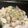 Hirorinaki's cooksnap of when they made シンプル美味しい、豚バラのねぎ巻き.