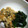 小麦粉【100g】's cooksnap of when they made つくしの卵とじ.