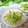 mielle's cooksnap of when they made ♪セロリの中華和え♪.