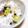 クックPNZNYU☆'s cooksnap of when they made 薩摩芋☆炊き込み御飯(無水鍋QC使用).