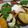 noamanma's cooksnap of when they made 野菜とカマンベールのあつあつグリル♪.