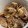 miffyeiko's cooksnap of when they made たまねぎたっぷり*豚しょうが丼.
