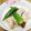 みぽぴぽ's cooksnap of when they made 鶏とオクラの梅煮.