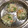 伊達こまち's cooksnap of when they made 桜海老と玉ねぎのかき揚げ.