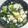 クックGB6431☆'s cooksnap of when they made だいたいOKなキャベツの白和え.