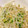 みなみゆき母's cooksnap of when they made もやしのナムル風胡麻和え.