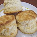 姫犬さん's cooksnap of when they made *簡単！フードプロセッサーｄｅぷれーんスコーン*.