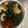 ma___111's cooksnap of when they made ちくわとピーマンの胡麻ドレ炒め.