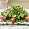 はらぺこしろうさぎ's cooksnap of when they made かんたん♡にんじん菜とルッコラのサラダ.