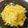 meechan_y's cooksnap of when they made 材料２つ！春キャベツと焼肉のたれサラダ.