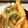 マコミコ's cooksnap of when they made ぜんまいの天ぷら.