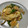 とぅかたろう's cooksnap of when they made 新玉ねぎとベーコンの卵とじ.