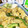 クックXV2Y5M☆'s cooksnap of when they made 甘長唐辛子と玉ねぎと卵の炒め物.