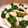 クリーピングタイム☆'s cooksnap of when they made イカとピーマンの生姜炒め.