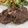 クックYS50's cooksnap of when they made 簡単にお肉を柔らかくする裏技②カレーなど.