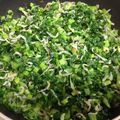 teru_teru's cooksnap of when they made かぶの葉のふりかけ♪簡単小海老.