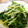 なおきんとん's cooksnap of when they made ほうれん草と長ねぎのナムル風.