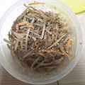 RieTamtam's cooksnap of when they made きんぴらごぼう.